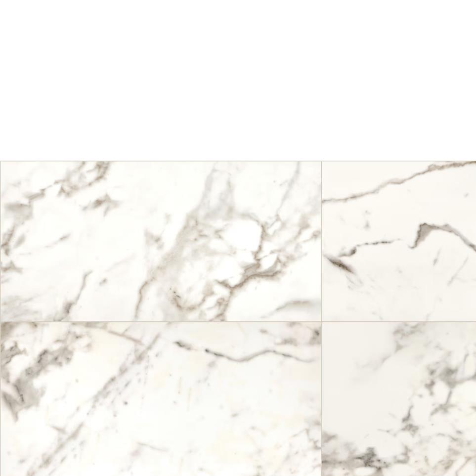 Calacatta Polished Zoomed Swatch