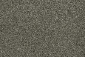 Baltic Birch Swatch Thumbnail