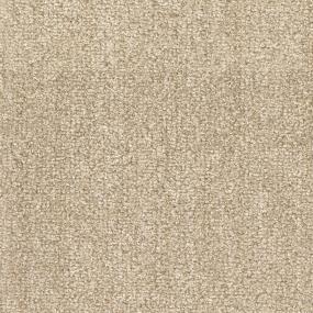Tundra - Bighorn Swatch