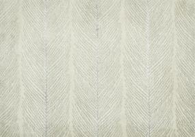 Brightwater - Ivory Swatch