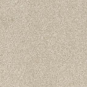 Blonde Oak Zoomed Swatch