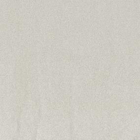 Eagle Trail III 12' - Silver Mist Swatch