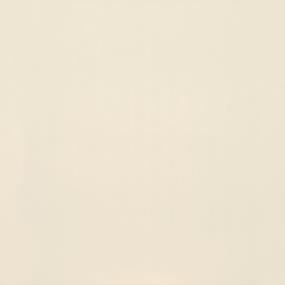 Paint Polished Swatch Thumbnail