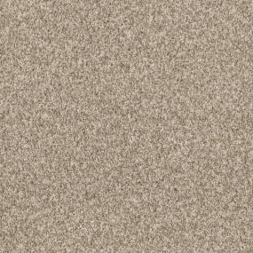 Beach Grass Zoomed Swatch