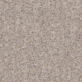 Smithsonian Zoomed Swatch