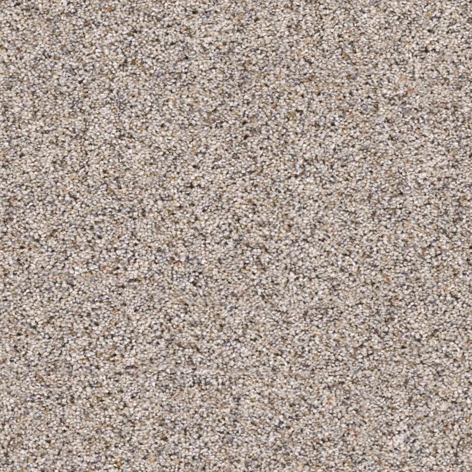 Smithsonian Zoomed Swatch