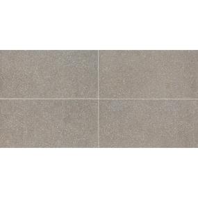 Medium Gray Light Polished Swatch Thumbnail