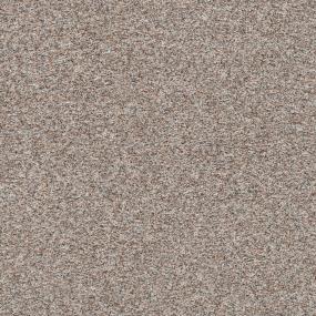 Stop & Stare II - Rustic Cedar Swatch