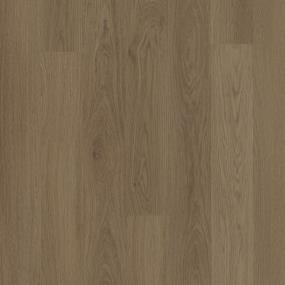 Classic Revival 5 - Burnt Sienna Swatch