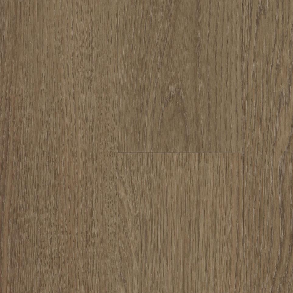 Burnt Sienna Zoomed Swatch