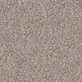 Akita - Greyhound Swatch