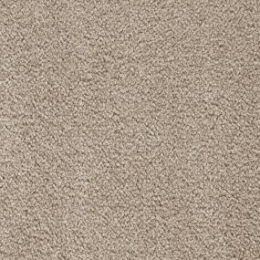 Whimbrel - Classical Swatch