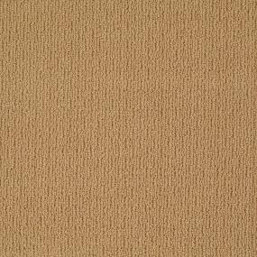 Ts825 - Colonial Gold Swatch