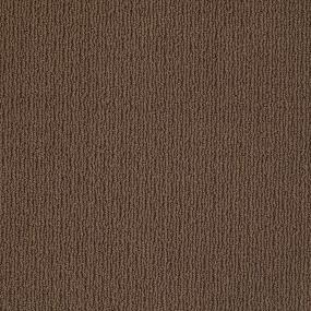 Ts825 - Hiking Trail Swatch