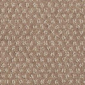 Cove Swatch Thumbnail
