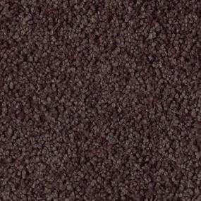 Fantasia Zoomed Swatch