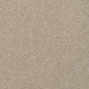 Jazzy - Driftwood Swatch