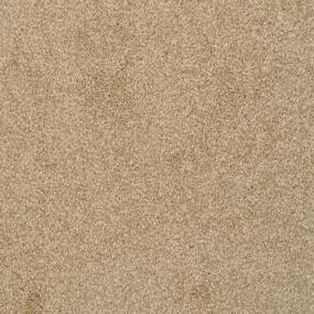 Jazzy - Taffy Swatch