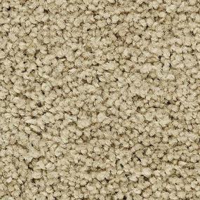 Artisan Delight - Villa Swatch