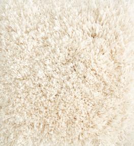 Oyster Swatch Thumbnail