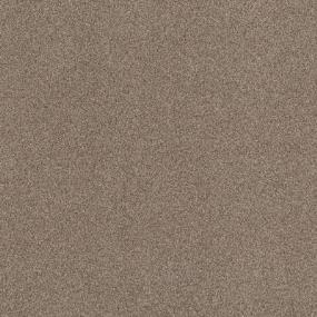 Bossa Nova - Roasted Swatch
