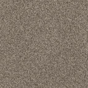 Pavestone Zoomed Swatch