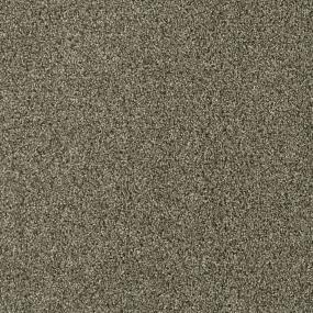 Acclaim - Monaco Swatch