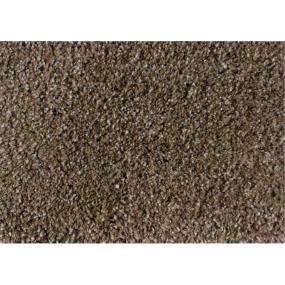 Shaggy Plush - Metallic Beige Swatch