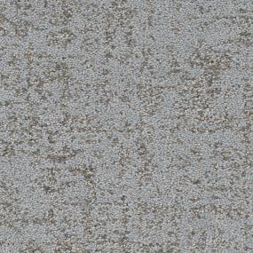 Hollywood Nights - Driftwood Swatch