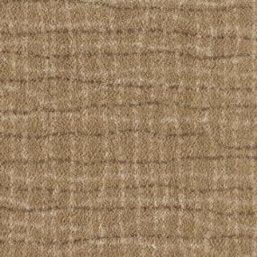 Backdrop - Buckskin Swatch
