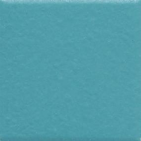 Ocean Blue Matte Swatch Thumbnail