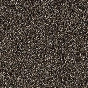 Tranquil Shades - Wrought Iron Swatch