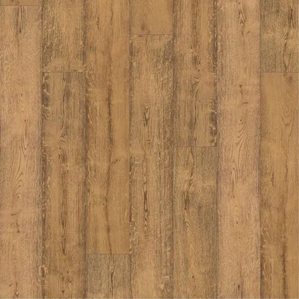 Monroe Gardens by Mohawk - Cambridge