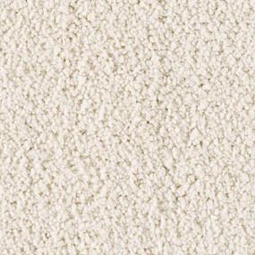 Soft Eloquence - Flaky Coconut Swatch