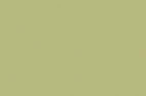 Expanse Matte 47X71 - Lime Swatch