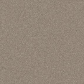Sheepskin Zoomed Swatch