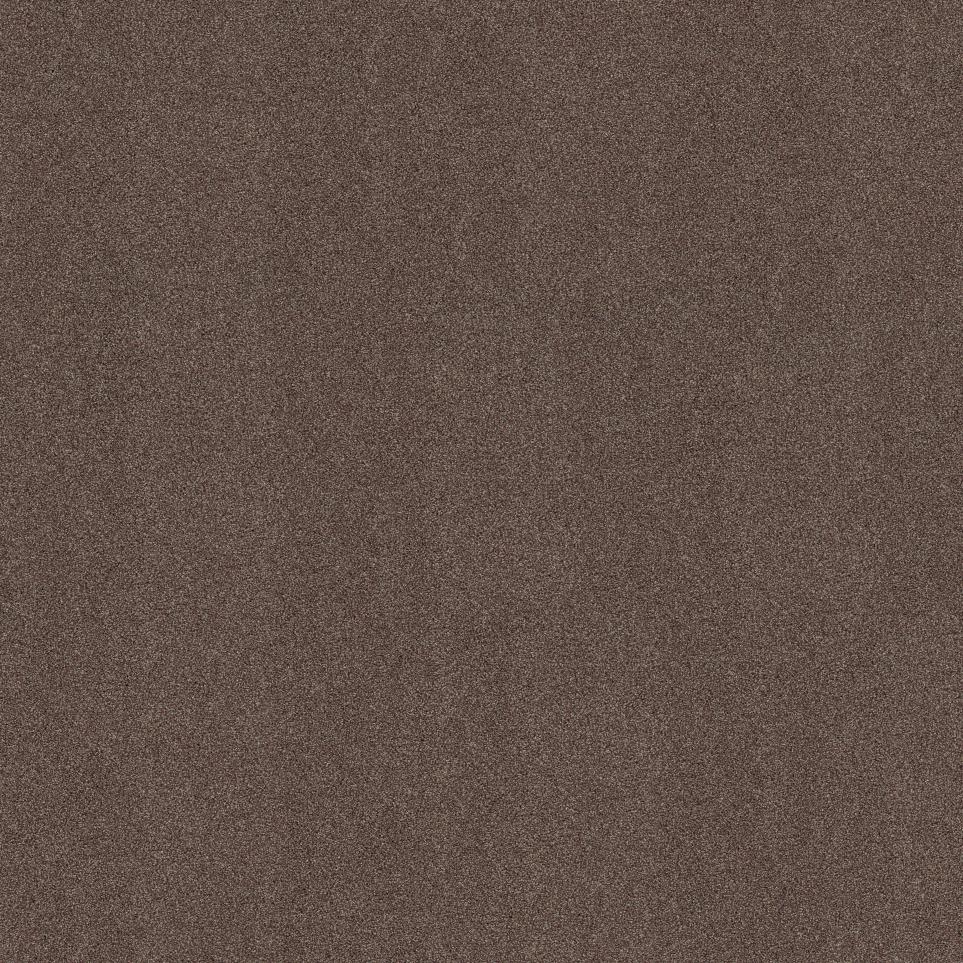 Earth Rose Swatch