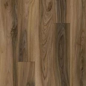 Sienna Swatch