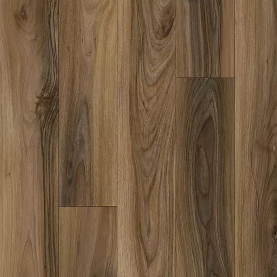 Sienna Zoomed Swatch