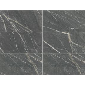 Steely Polished Swatch Thumbnail