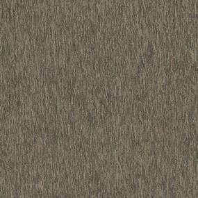 Equating 20 - Velocity Swatch