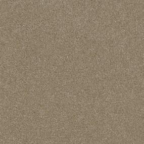 Performer Zoomed Swatch