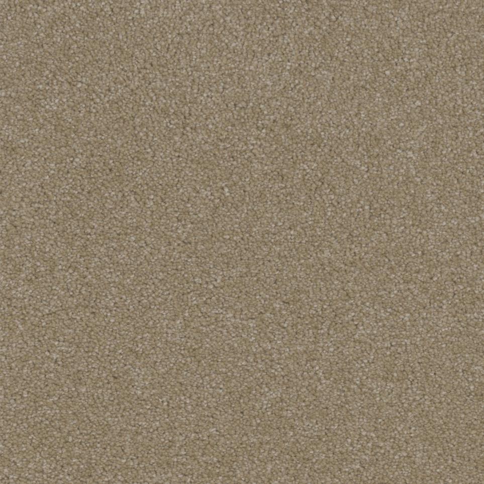 Performer Zoomed Swatch