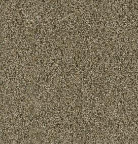 Cce 225 - Island Spice Swatch