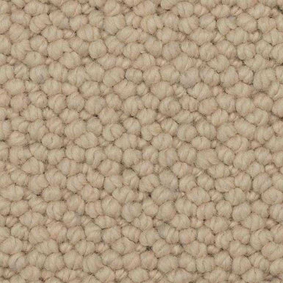 Seashell Zoomed Swatch