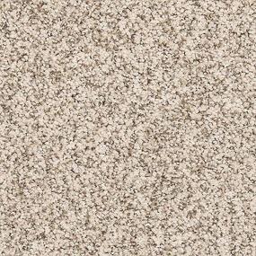 Dutch White Swatch Thumbnail