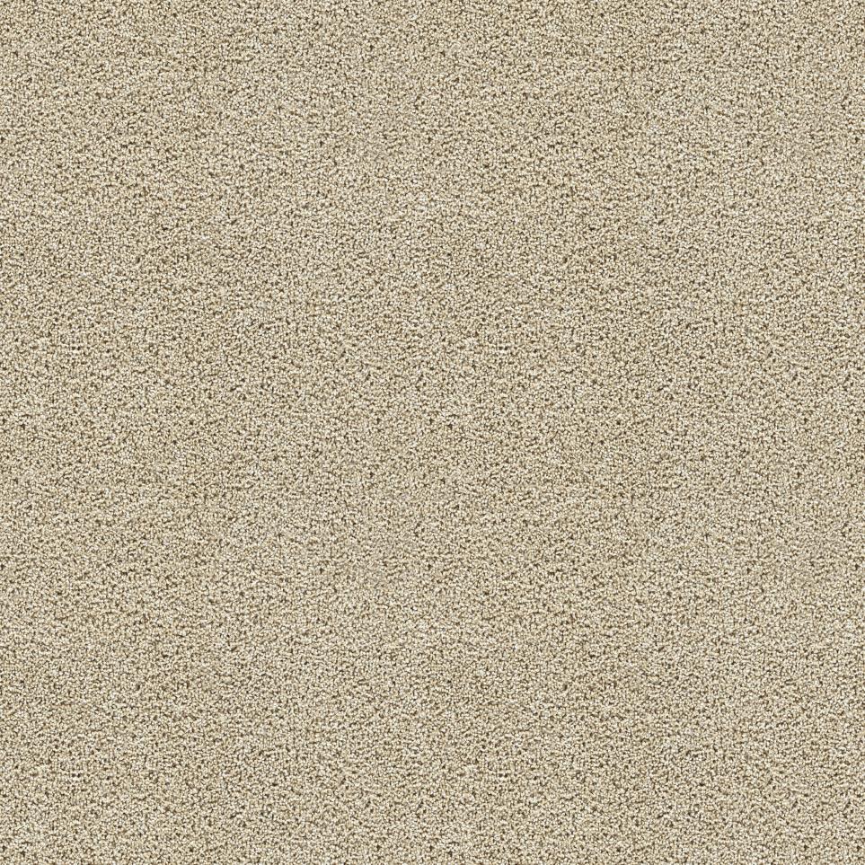Personal Touch Swatch