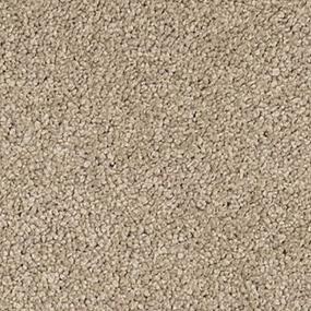 Charisma - Almond Swatch