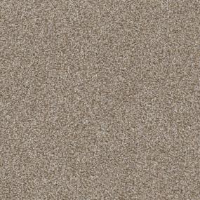 Treehouse Zoomed Swatch