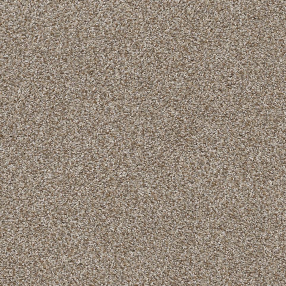 Treehouse Zoomed Swatch